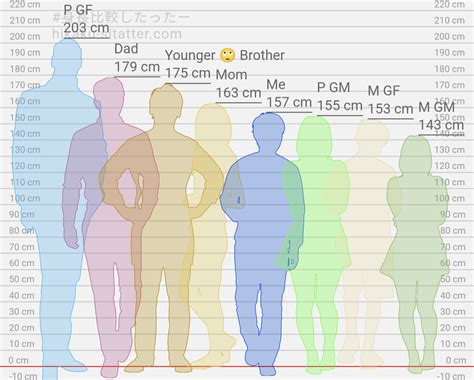 176cm 155cm|All